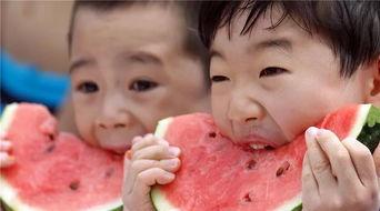 吃瓜公司的日常,揭秘日常生活中的趣味八卦 第3张 吃瓜公司的日常,揭秘日常生活中的趣味八卦 第3张