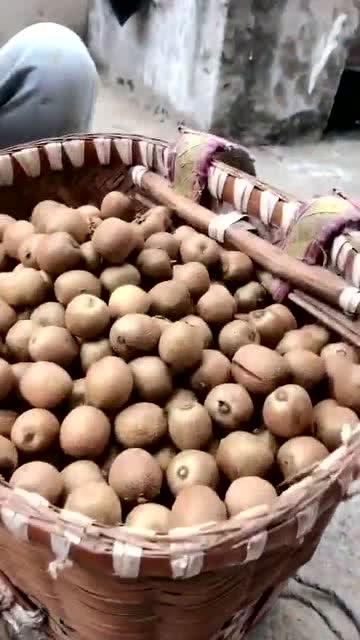 带你吃瓜野生骑士,带你领略“带你吃瓜野生骑士”的独特魅力  第1张